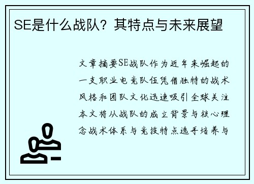 SE是什么战队？其特点与未来展望